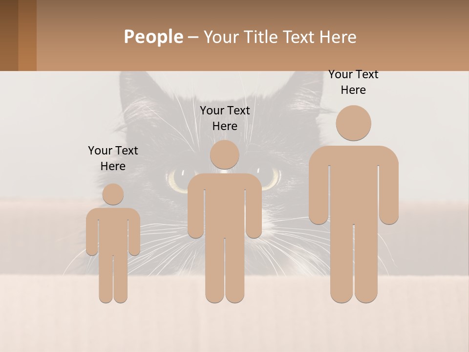 A Black And White Cat Sitting In A Cardboard Box PowerPoint Template