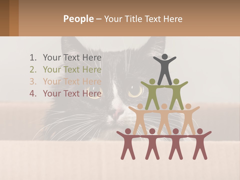 A Black And White Cat Sitting In A Cardboard Box PowerPoint Template
