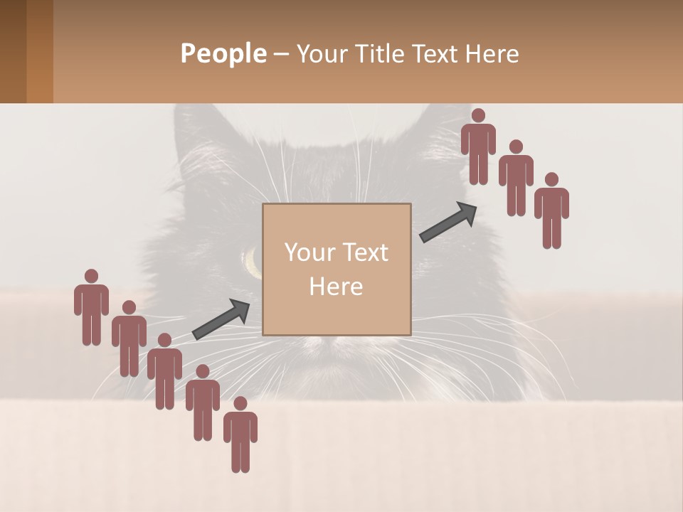 A Black And White Cat Sitting In A Cardboard Box PowerPoint Template