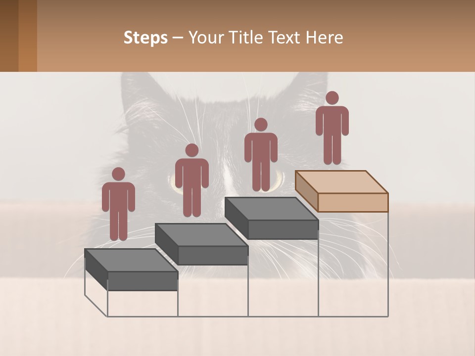 A Black And White Cat Sitting In A Cardboard Box PowerPoint Template