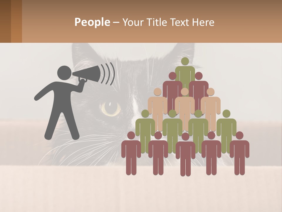 A Black And White Cat Sitting In A Cardboard Box PowerPoint Template