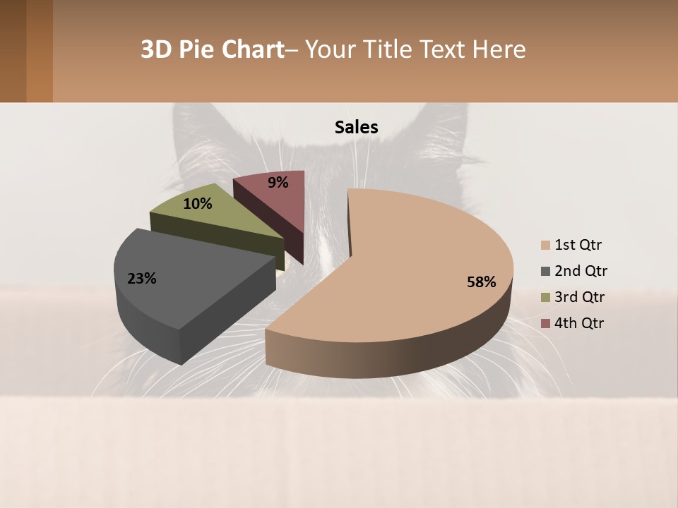A Black And White Cat Sitting In A Cardboard Box PowerPoint Template