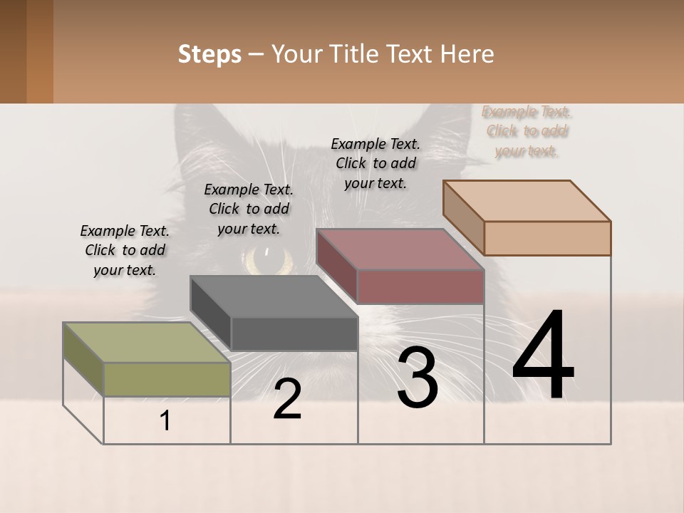 A Black And White Cat Sitting In A Cardboard Box PowerPoint Template