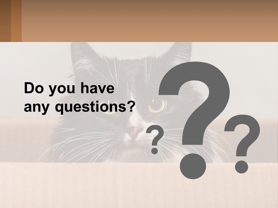A Black And White Cat Sitting In A Cardboard Box PowerPoint Template