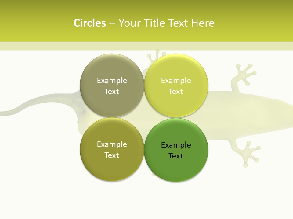A Green Geckoon On A White Background PowerPoint Template