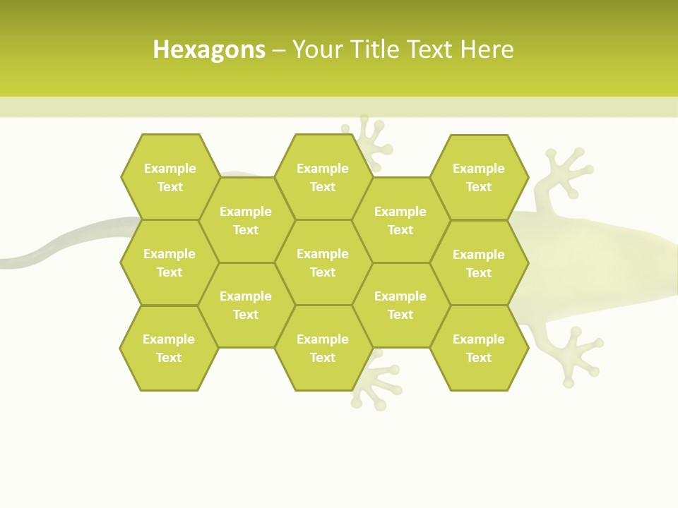 A Green Geckoon On A White Background PowerPoint Template