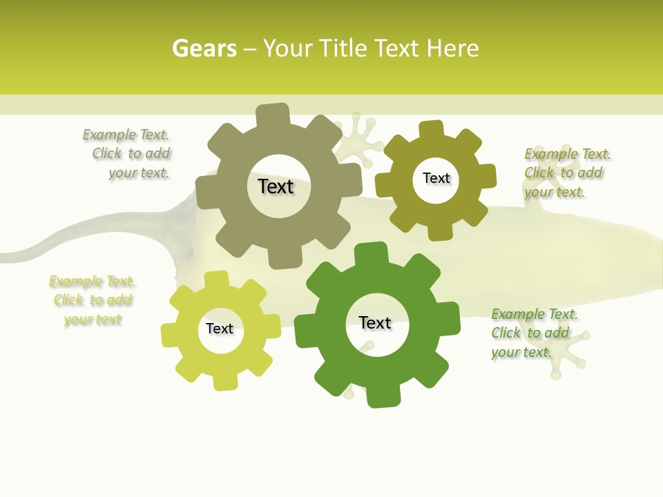 A Green Geckoon On A White Background PowerPoint Template