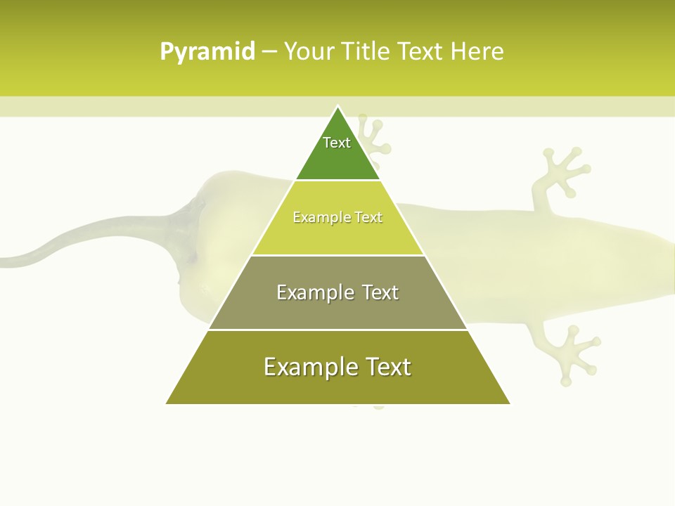 A Green Geckoon On A White Background PowerPoint Template