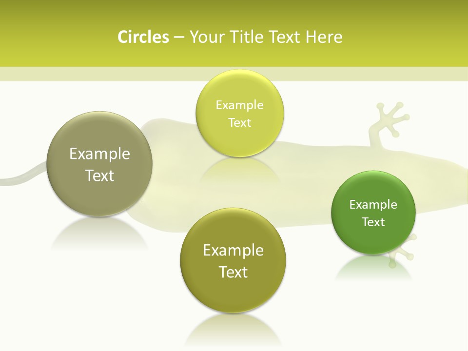 A Green Geckoon On A White Background PowerPoint Template