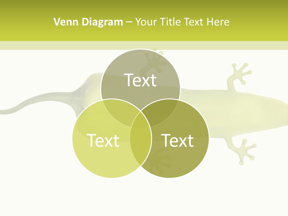 A Green Geckoon On A White Background PowerPoint Template