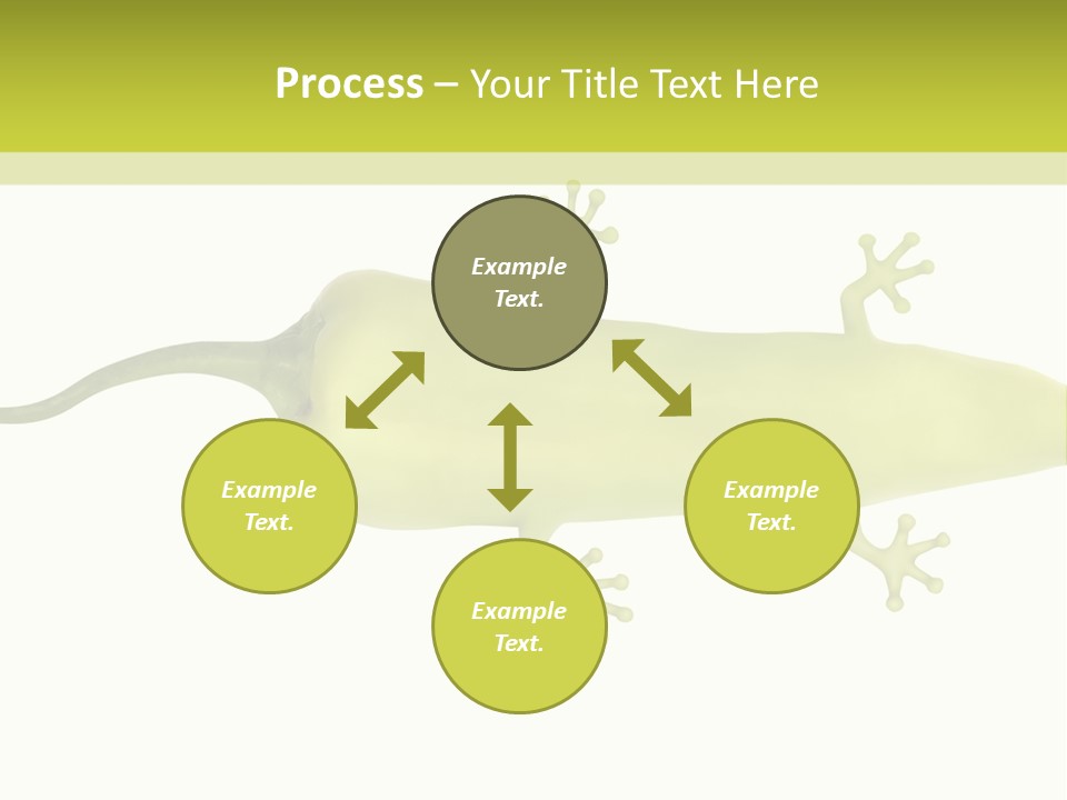 A Green Geckoon On A White Background PowerPoint Template
