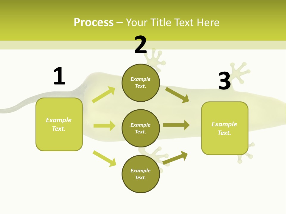 A Green Geckoon On A White Background PowerPoint Template