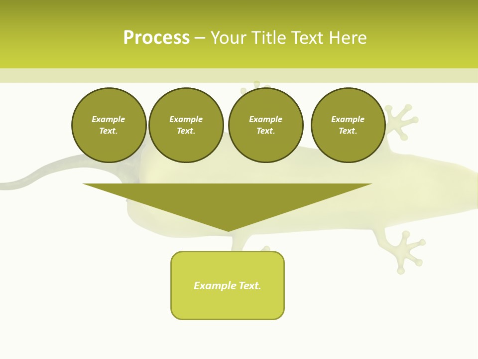 A Green Geckoon On A White Background PowerPoint Template
