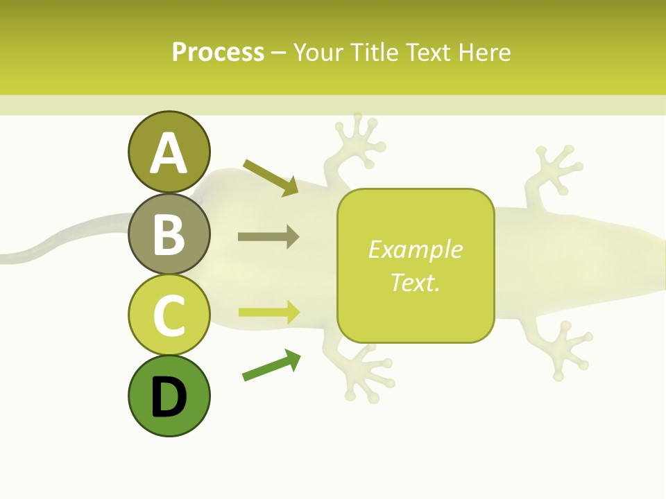 A Green Geckoon On A White Background PowerPoint Template