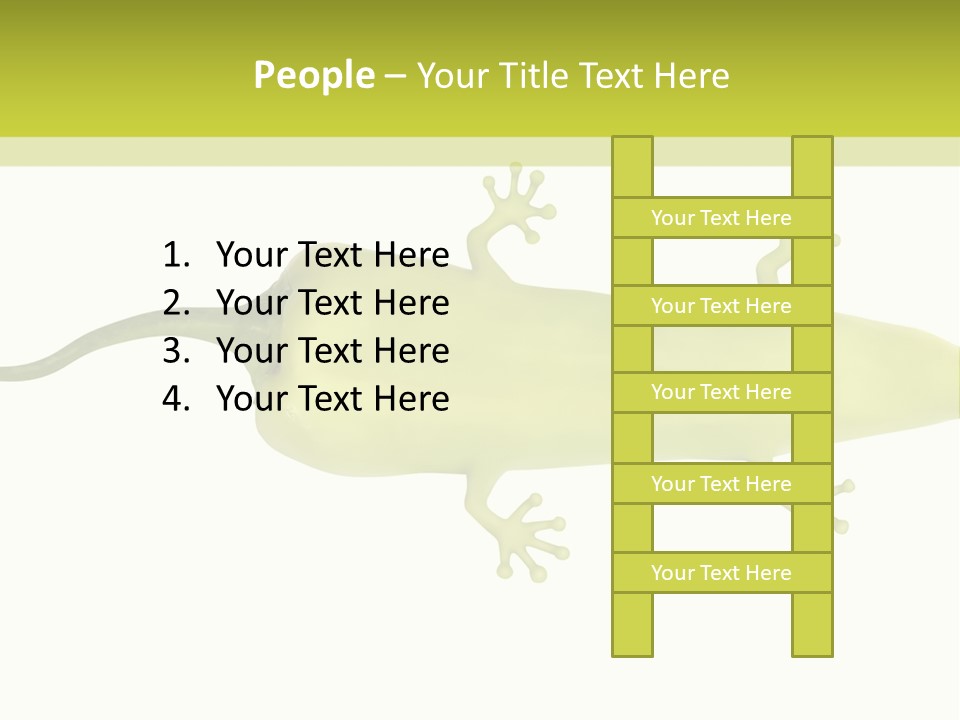 A Green Geckoon On A White Background PowerPoint Template