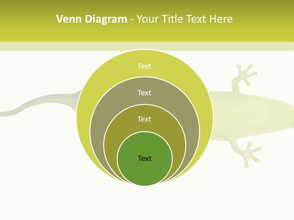 A Green Geckoon On A White Background PowerPoint Template