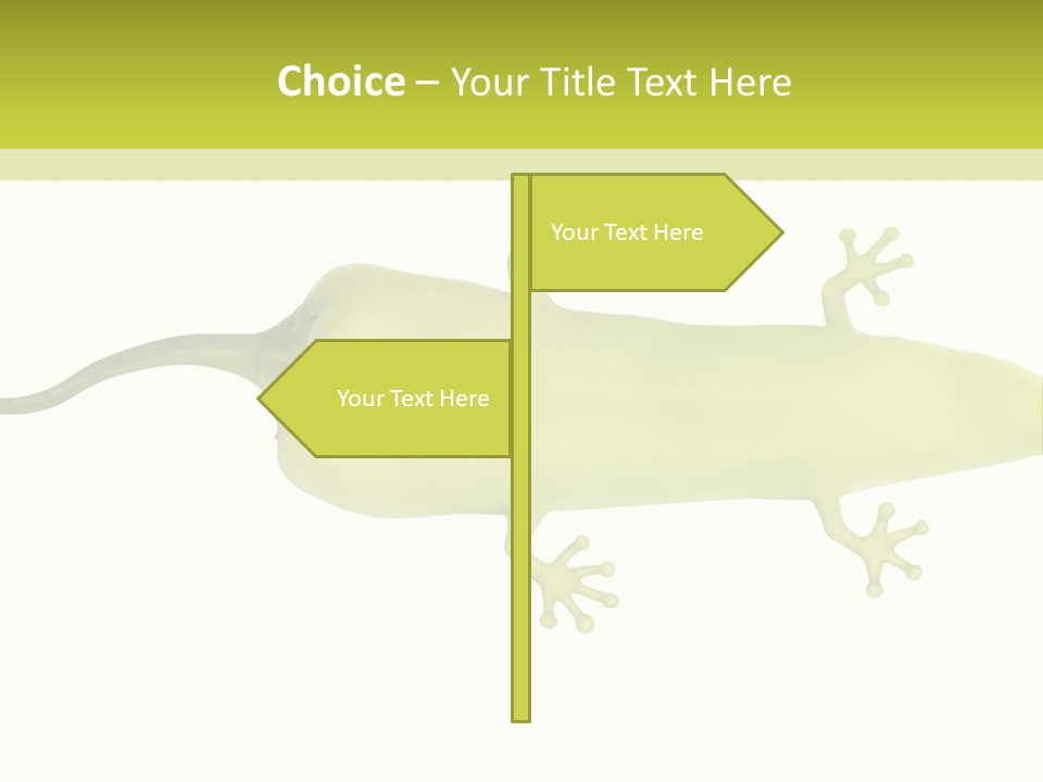 A Green Geckoon On A White Background PowerPoint Template