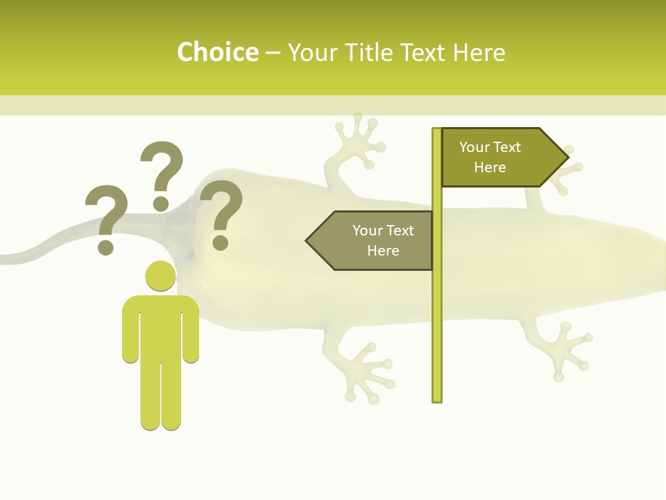 A Green Geckoon On A White Background PowerPoint Template