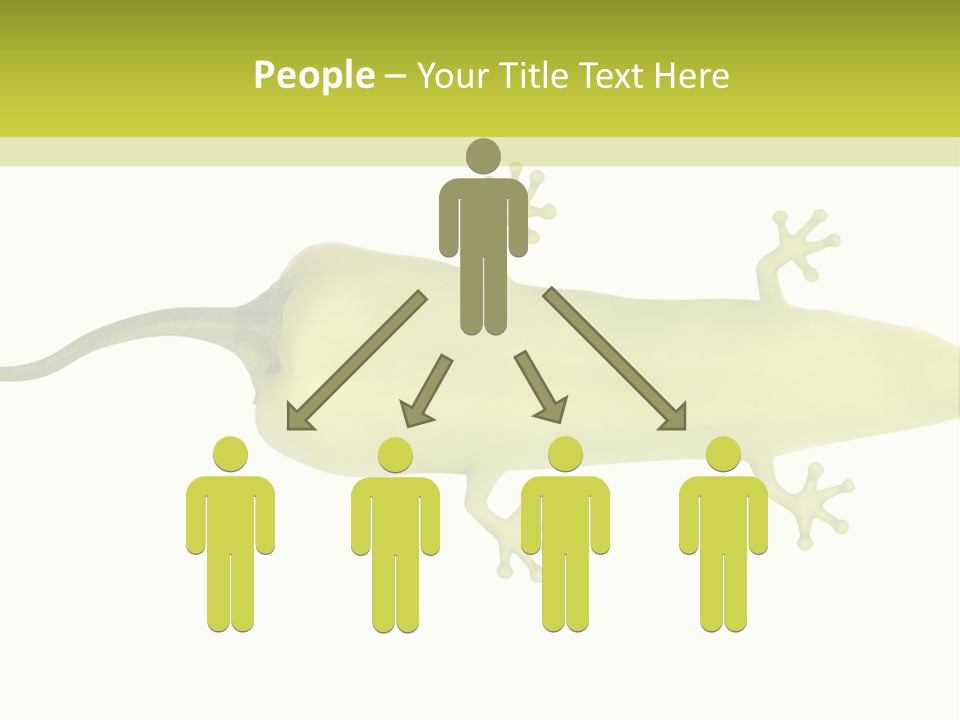 A Green Geckoon On A White Background PowerPoint Template