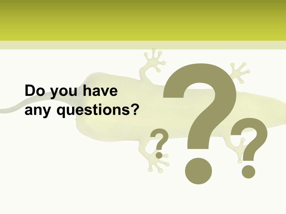 A Green Geckoon On A White Background PowerPoint Template