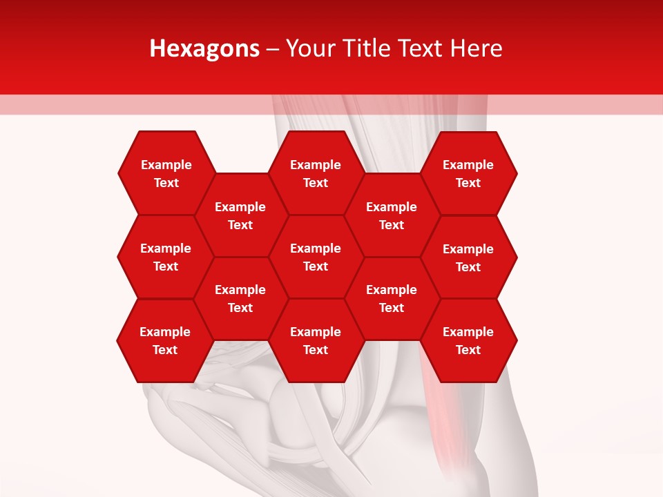 A Medical Powerpoint Presentation With A Picture Of A Foot PowerPoint Template