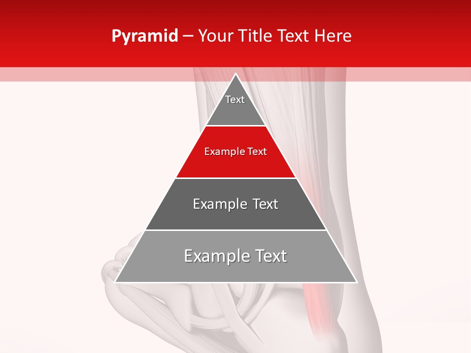 A Medical Powerpoint Presentation With A Picture Of A Foot PowerPoint Template