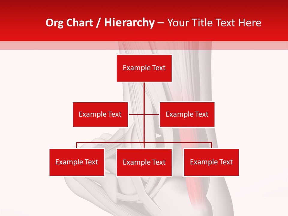 A Medical Powerpoint Presentation With A Picture Of A Foot PowerPoint Template