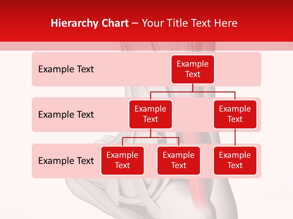 A Medical Powerpoint Presentation With A Picture Of A Foot PowerPoint Template
