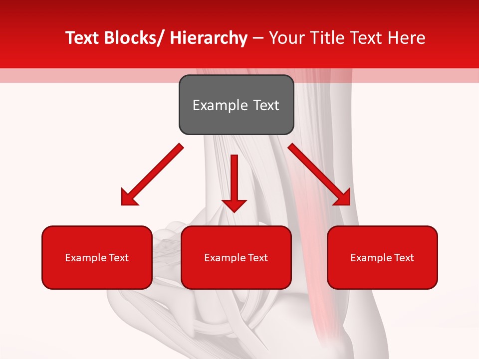 A Medical Powerpoint Presentation With A Picture Of A Foot PowerPoint Template
