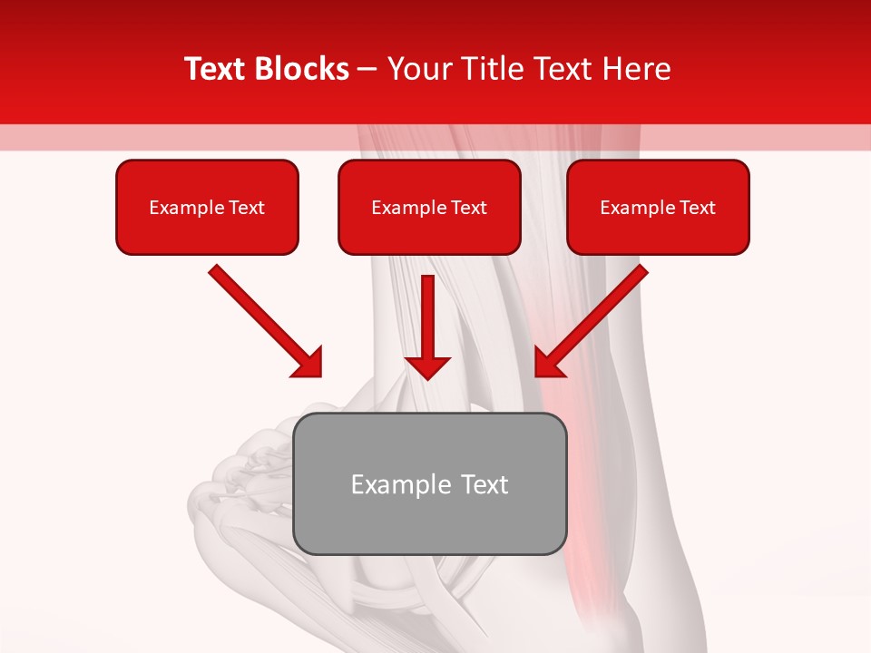 A Medical Powerpoint Presentation With A Picture Of A Foot PowerPoint Template