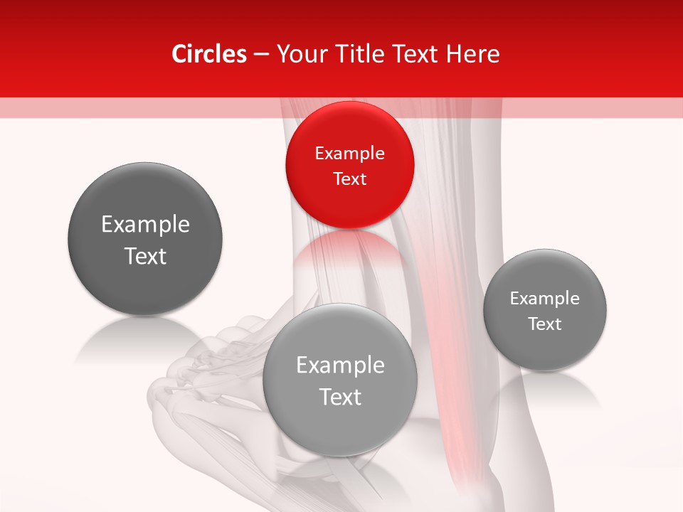 A Medical Powerpoint Presentation With A Picture Of A Foot PowerPoint Template
