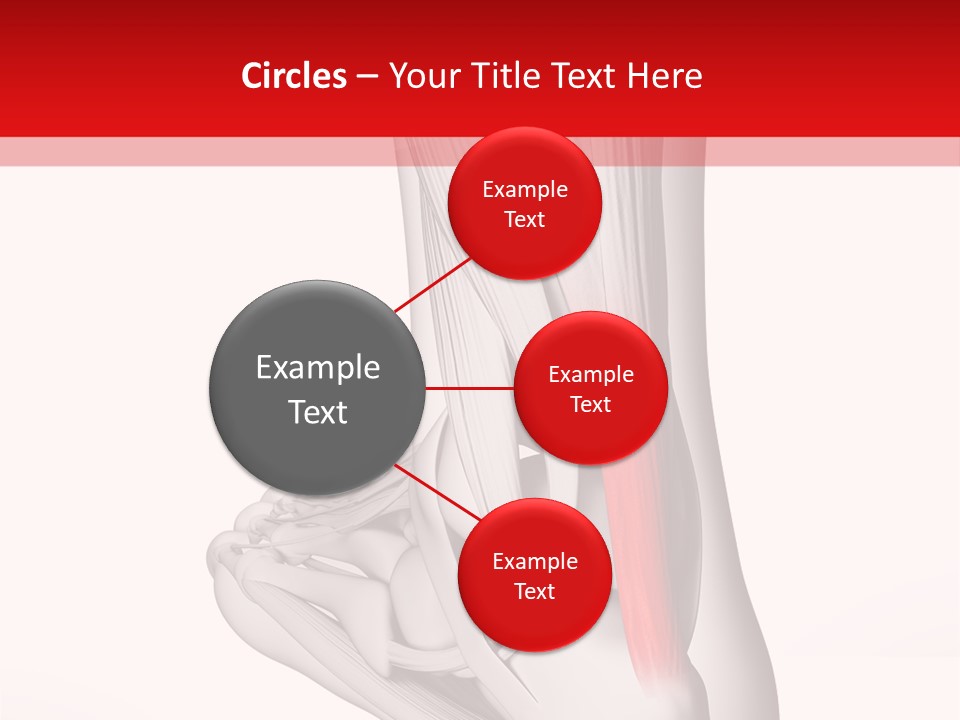 A Medical Powerpoint Presentation With A Picture Of A Foot PowerPoint Template