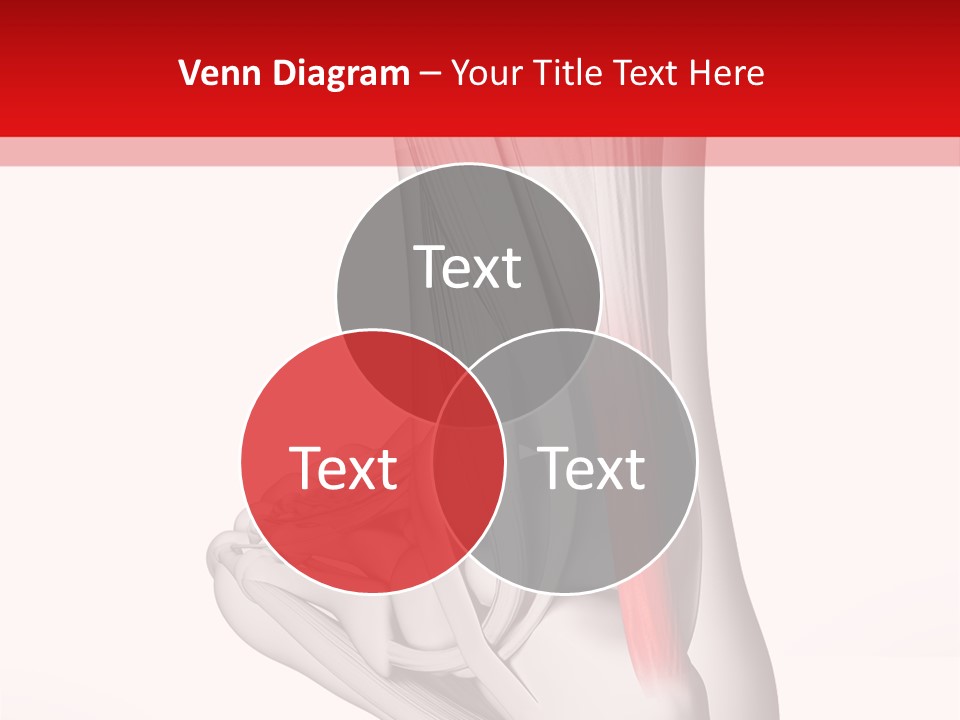 A Medical Powerpoint Presentation With A Picture Of A Foot PowerPoint Template