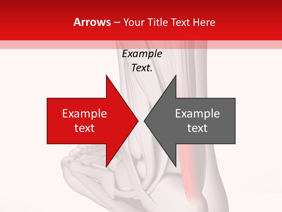 A Medical Powerpoint Presentation With A Picture Of A Foot PowerPoint Template