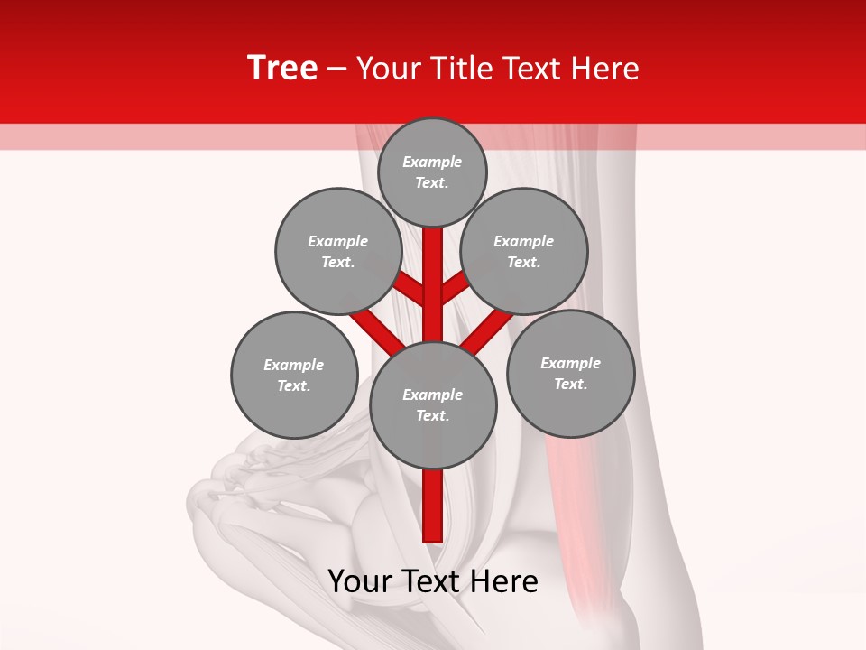 A Medical Powerpoint Presentation With A Picture Of A Foot PowerPoint Template