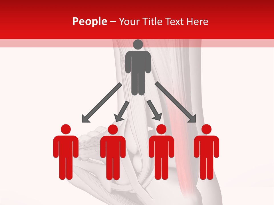 A Medical Powerpoint Presentation With A Picture Of A Foot PowerPoint Template