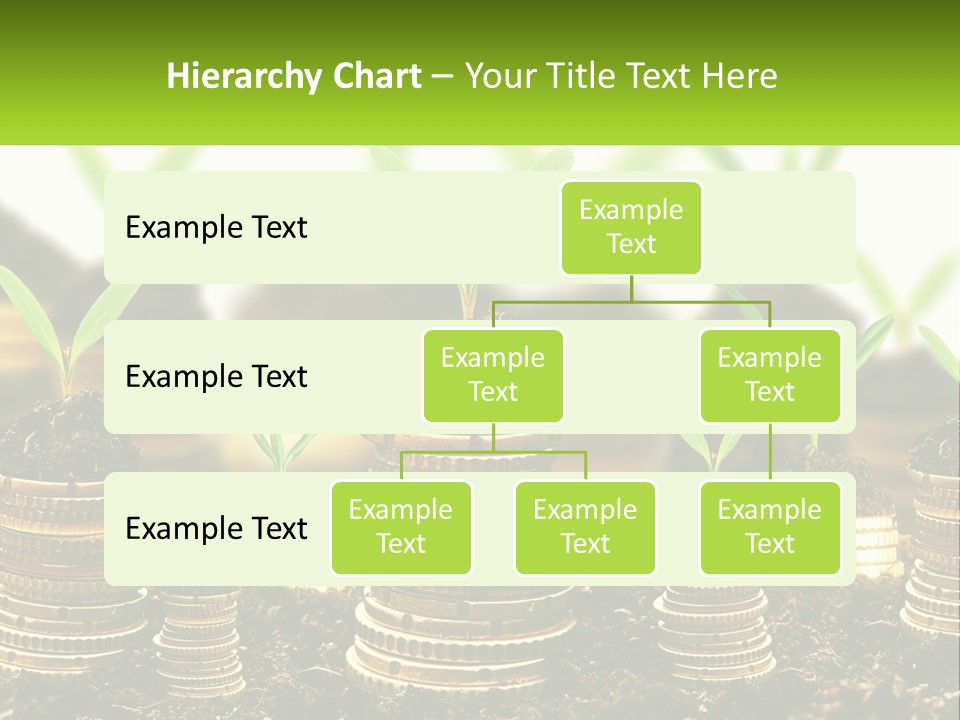 A Pile Of Coins With A Plant Growing Out Of It PowerPoint Template
