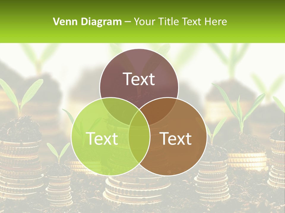 A Pile Of Coins With A Plant Growing Out Of It PowerPoint Template