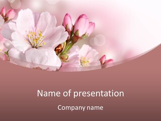 A Beautiful Pink Flower Powerpoint Presentation PowerPoint Template