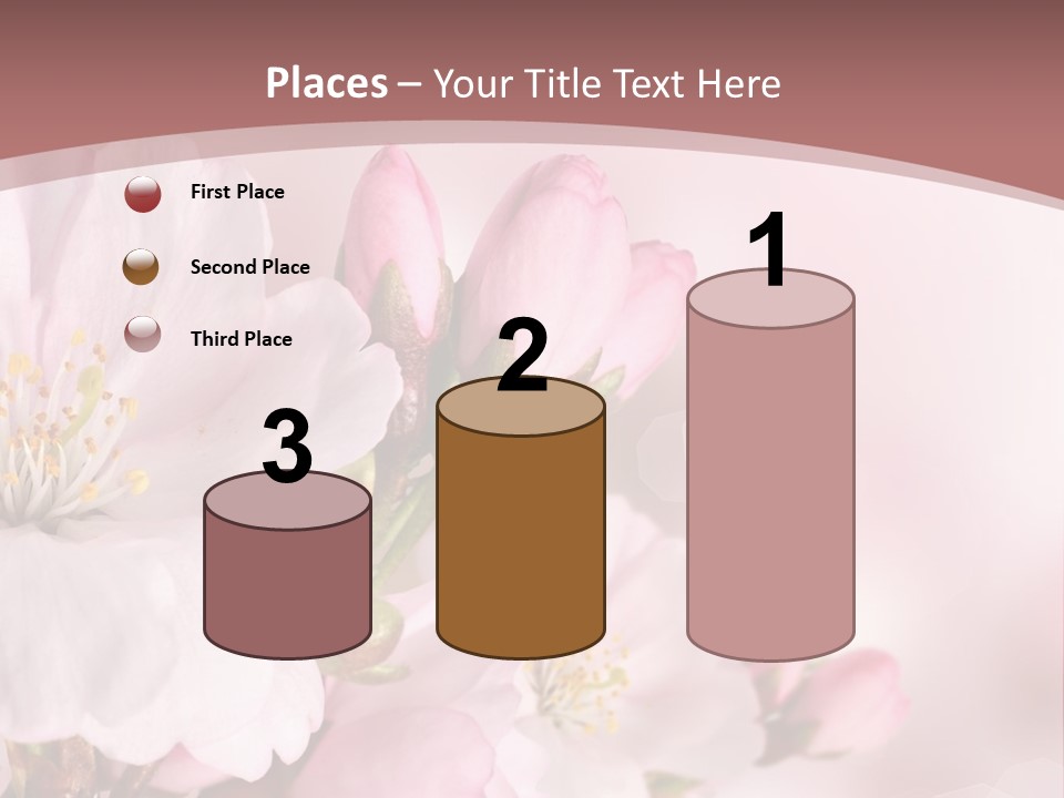 A Beautiful Pink Flower Powerpoint Presentation PowerPoint Template