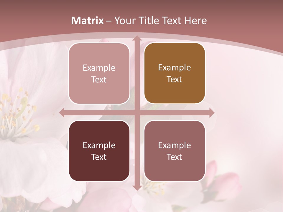 A Beautiful Pink Flower Powerpoint Presentation PowerPoint Template