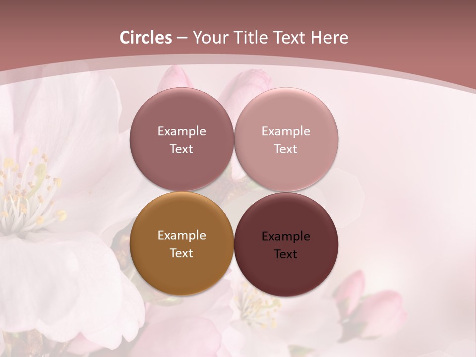 A Beautiful Pink Flower Powerpoint Presentation PowerPoint Template