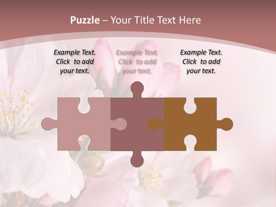 A Beautiful Pink Flower Powerpoint Presentation PowerPoint Template