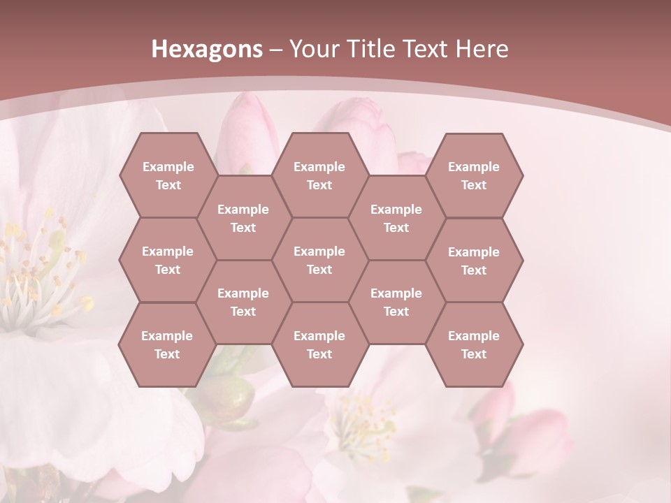 A Beautiful Pink Flower Powerpoint Presentation PowerPoint Template
