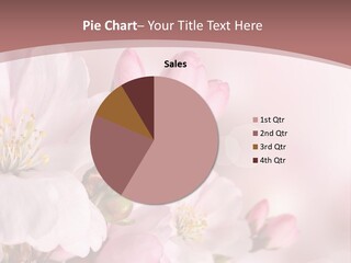 A Beautiful Pink Flower Powerpoint Presentation PowerPoint Template