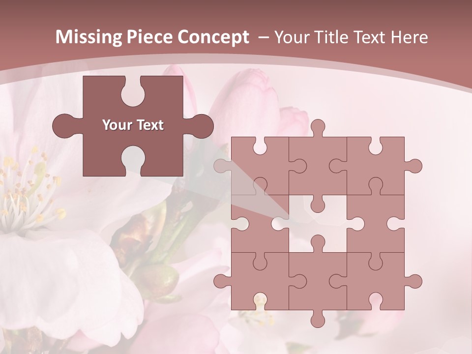 A Beautiful Pink Flower Powerpoint Presentation PowerPoint Template