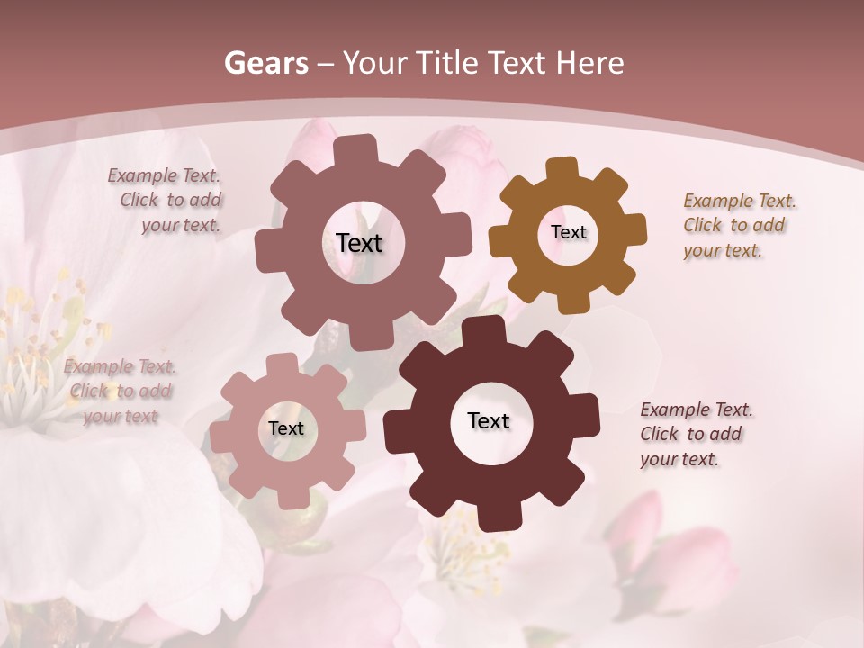 A Beautiful Pink Flower Powerpoint Presentation PowerPoint Template