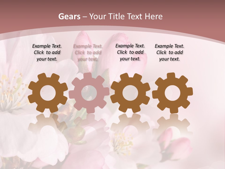 A Beautiful Pink Flower Powerpoint Presentation PowerPoint Template