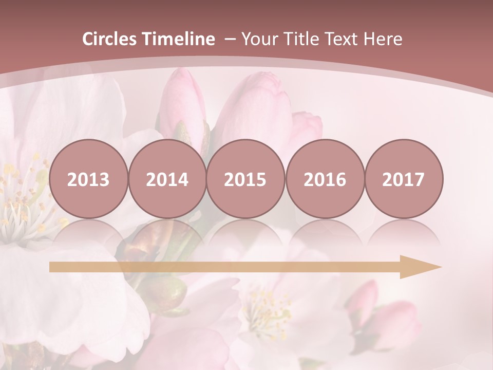 A Beautiful Pink Flower Powerpoint Presentation PowerPoint Template