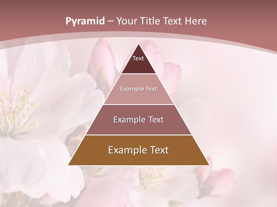 A Beautiful Pink Flower Powerpoint Presentation PowerPoint Template